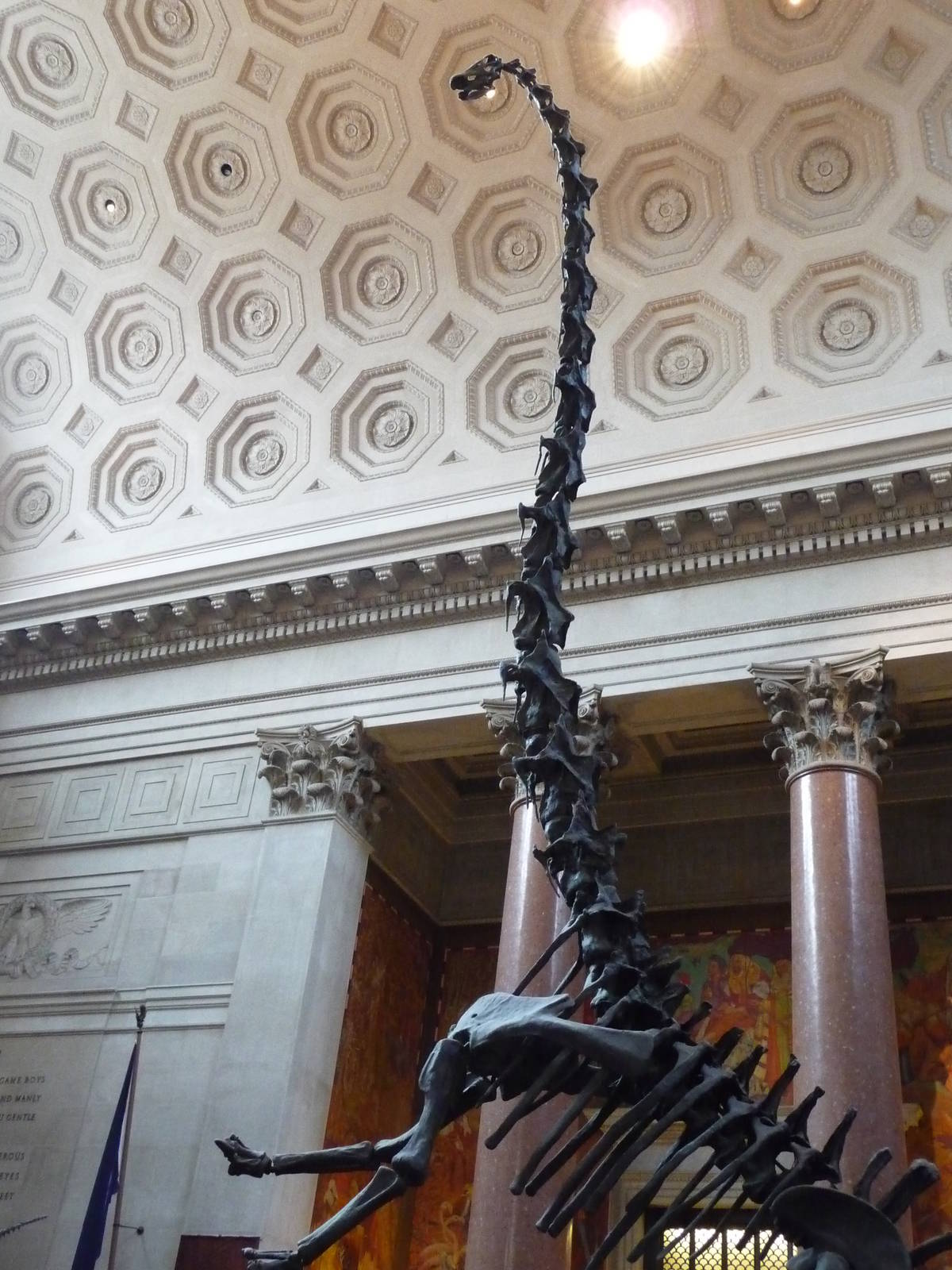 American Museum of Natural History