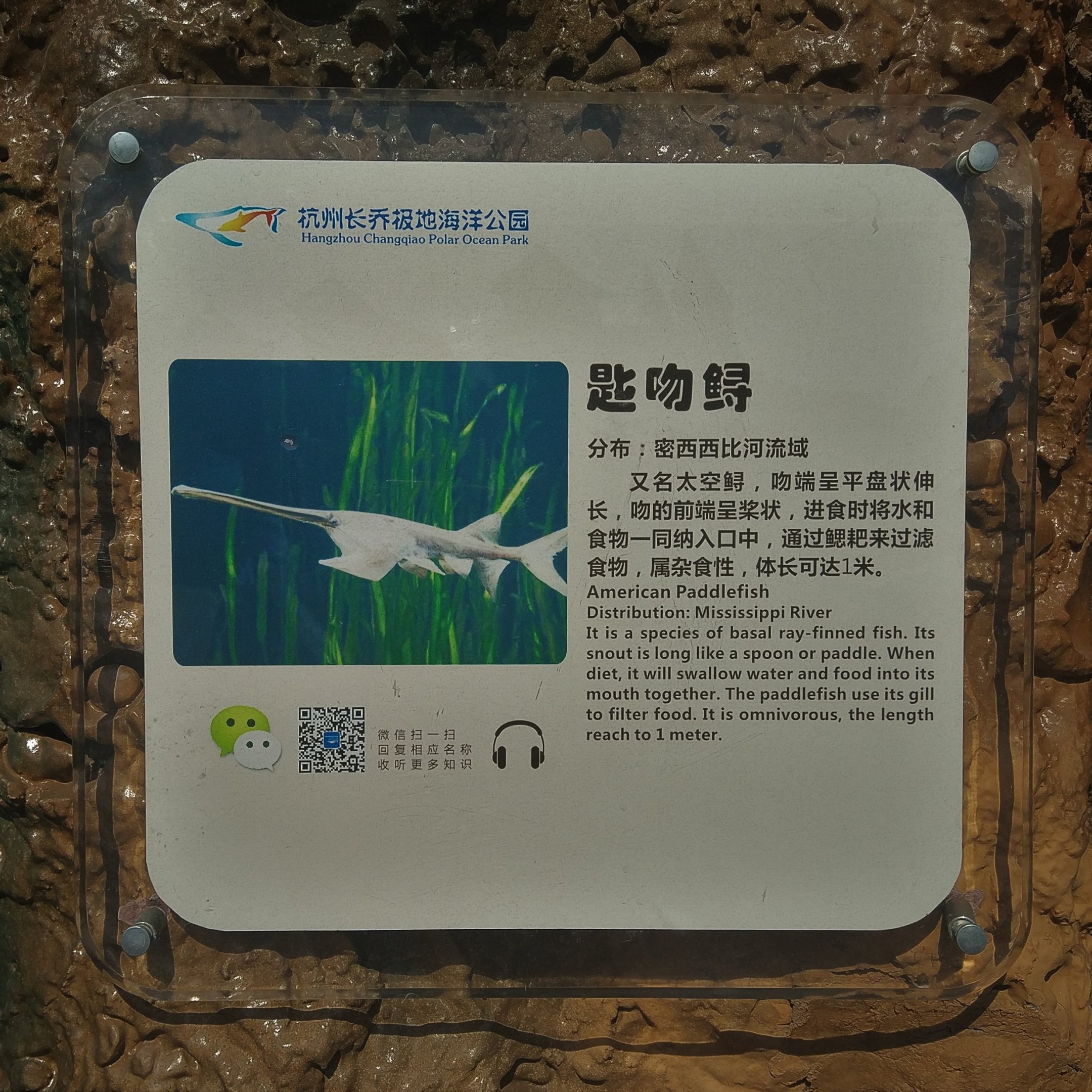 American Paddlefish Signage