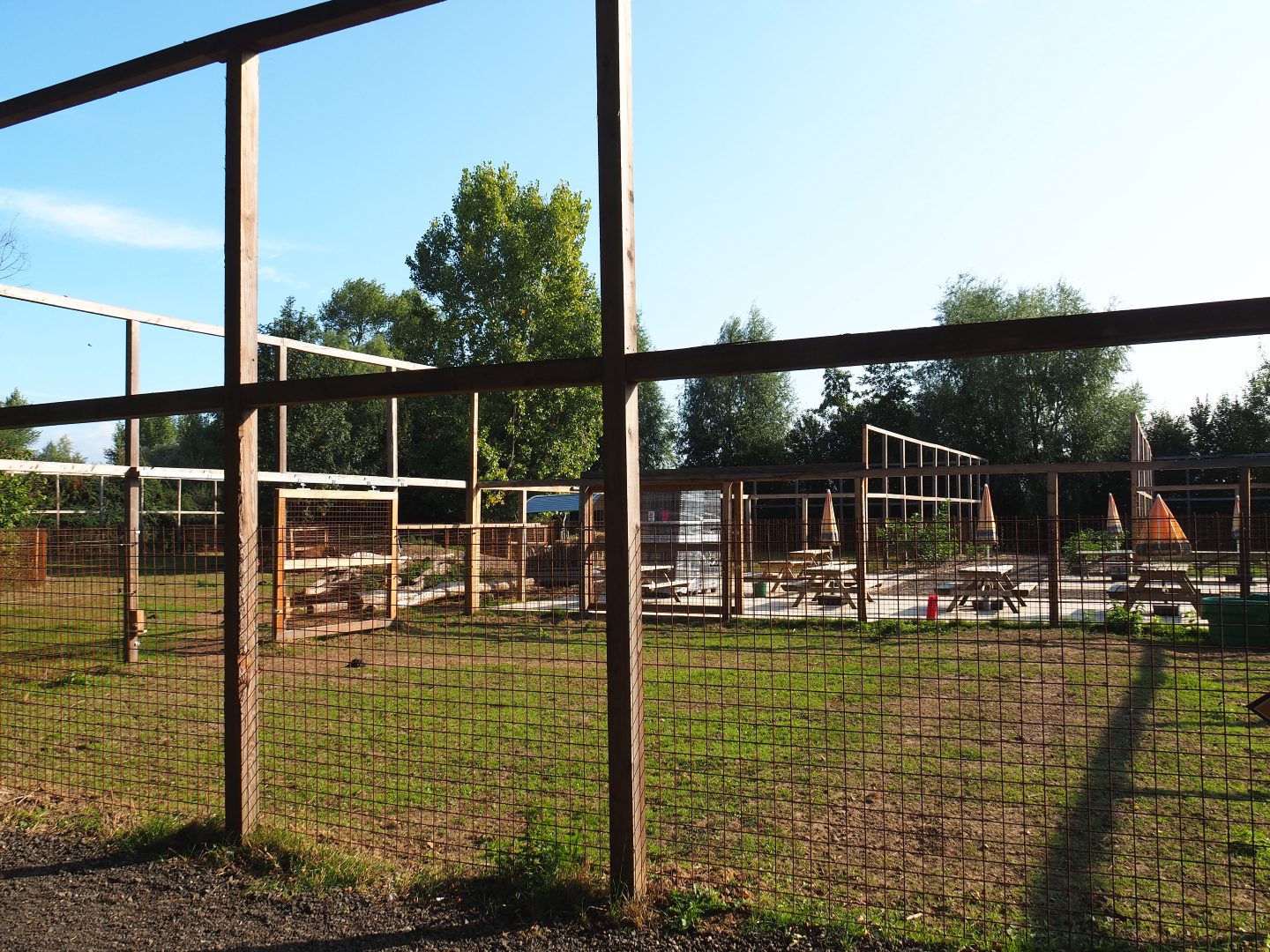 American Plains bison holding paddock, 2020-09-12