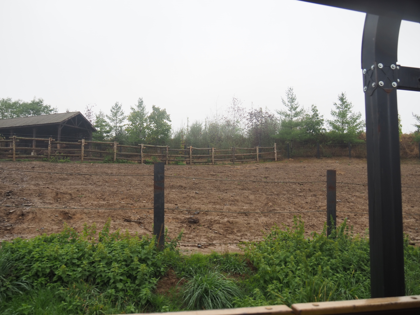 American Plains bison paddock seen from the train, 2022-09-14