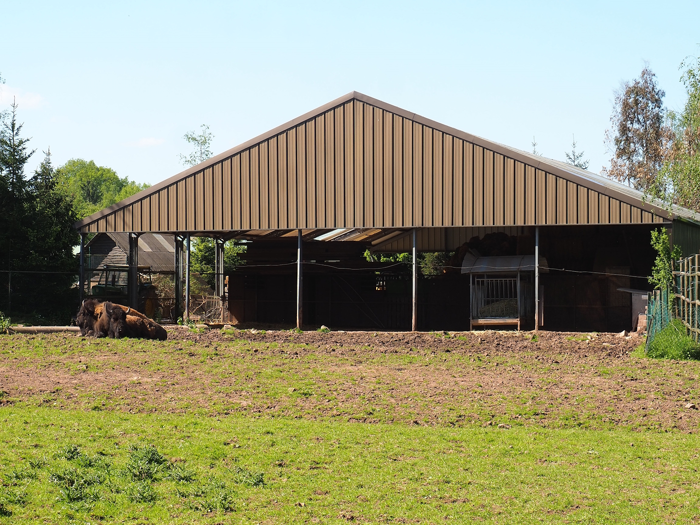 American Plains bison shelter and feeding area under storage barn roof, 2023-05-19