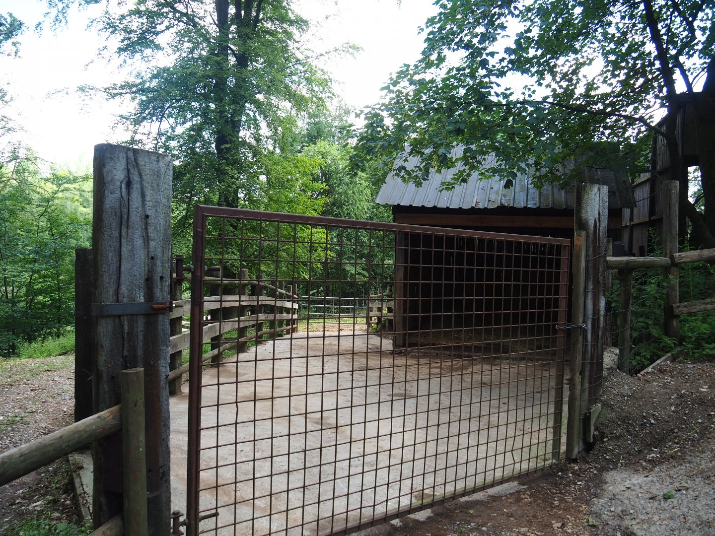 American Plains bison shelter and holding paddock,2023-06-24