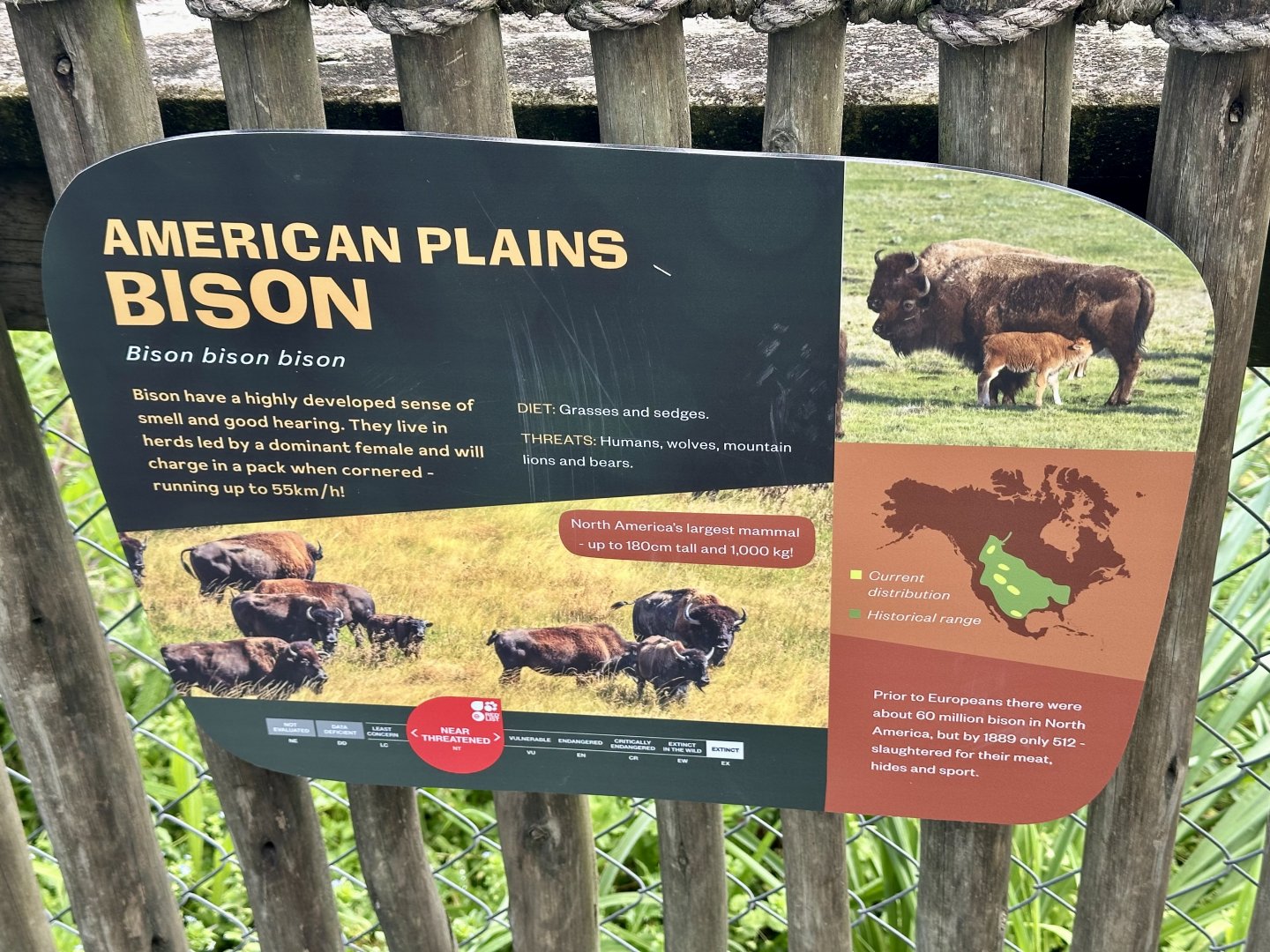 American Plains Bison Signage