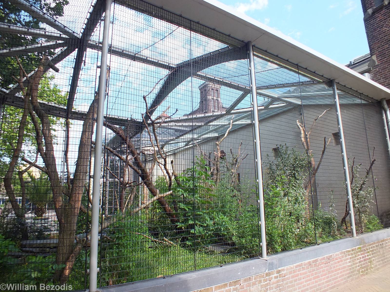 American Porcupine Enclosure