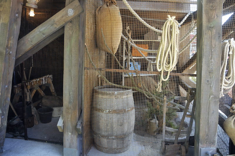 American Red Squirrel exhibit at Hannovers Yukon Bay.