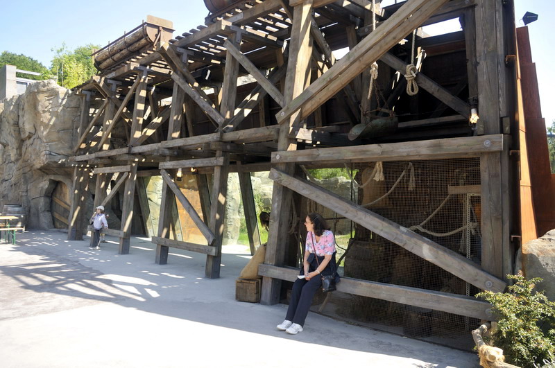 American Red Squirrel exhibit at Hannovers Yukon Bay.