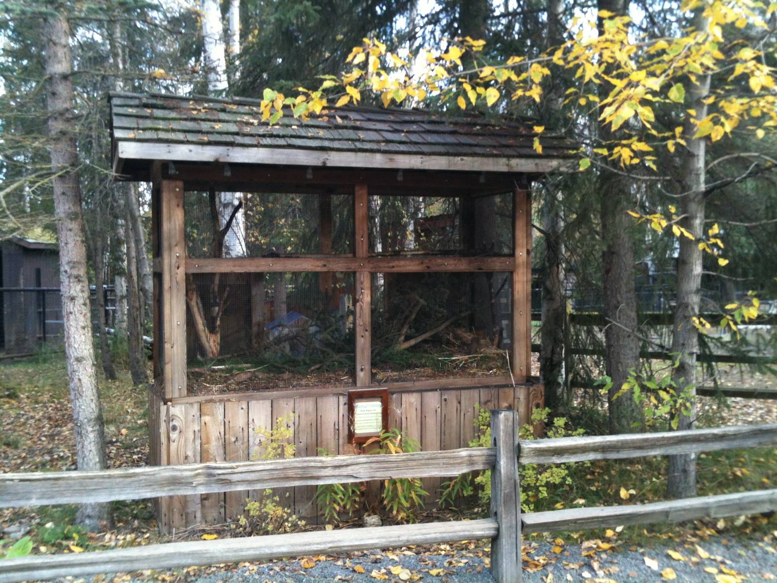 American Red Squirrel Exhibit