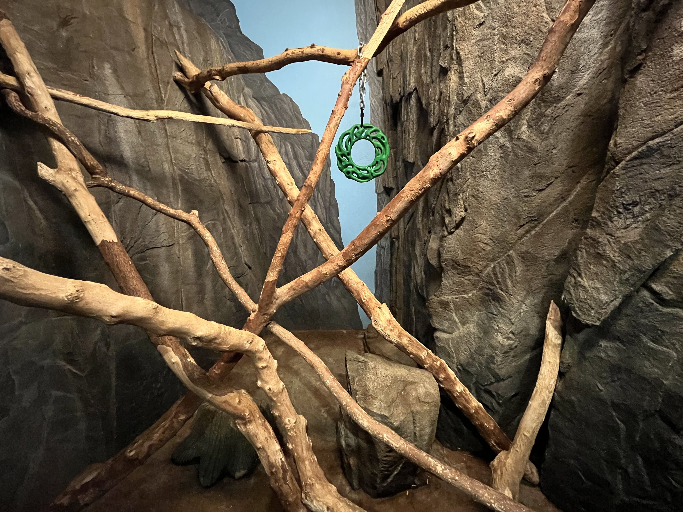 American Red Squirrel Exhibit