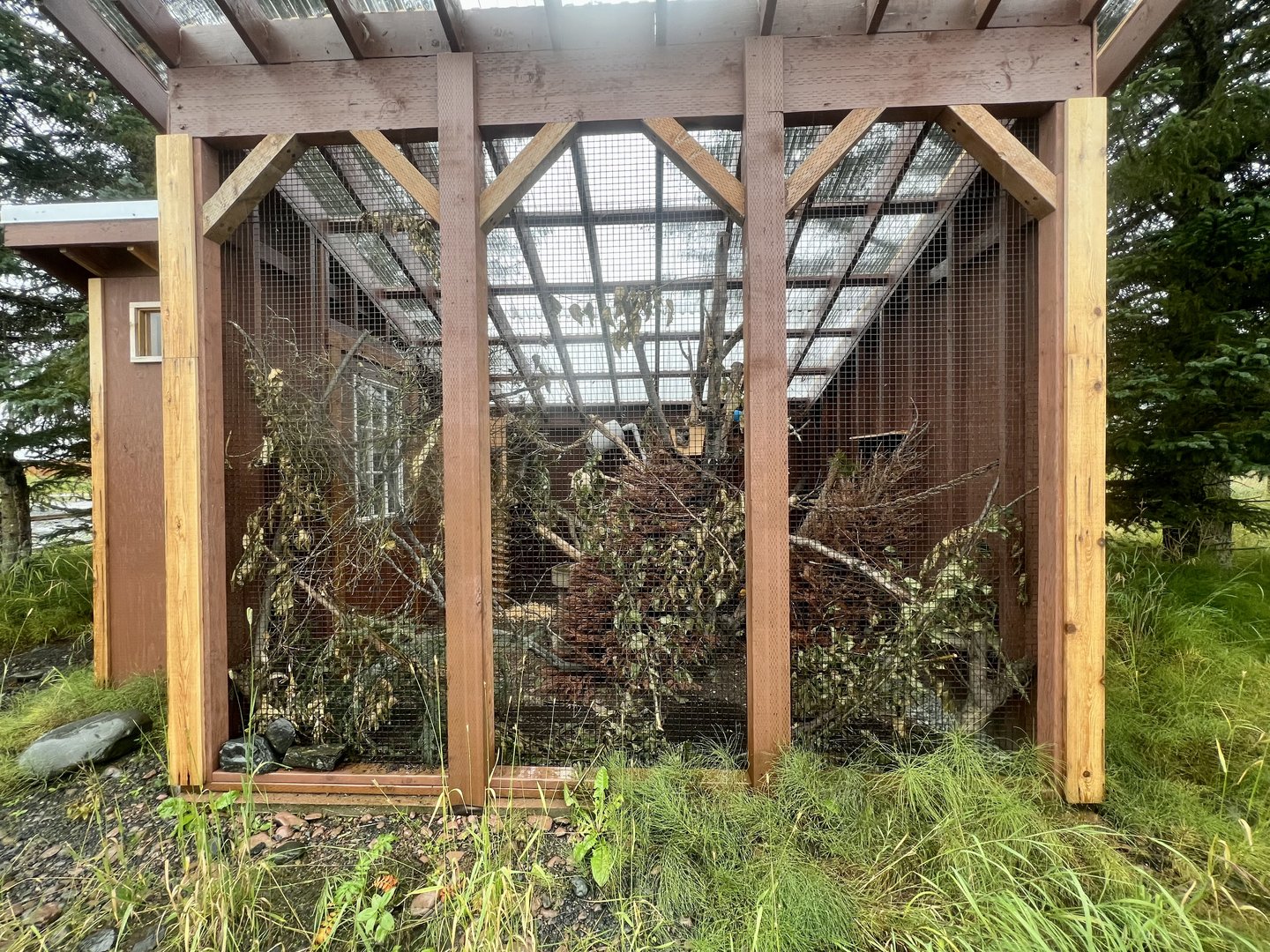 American Red Squirrel Exhibit