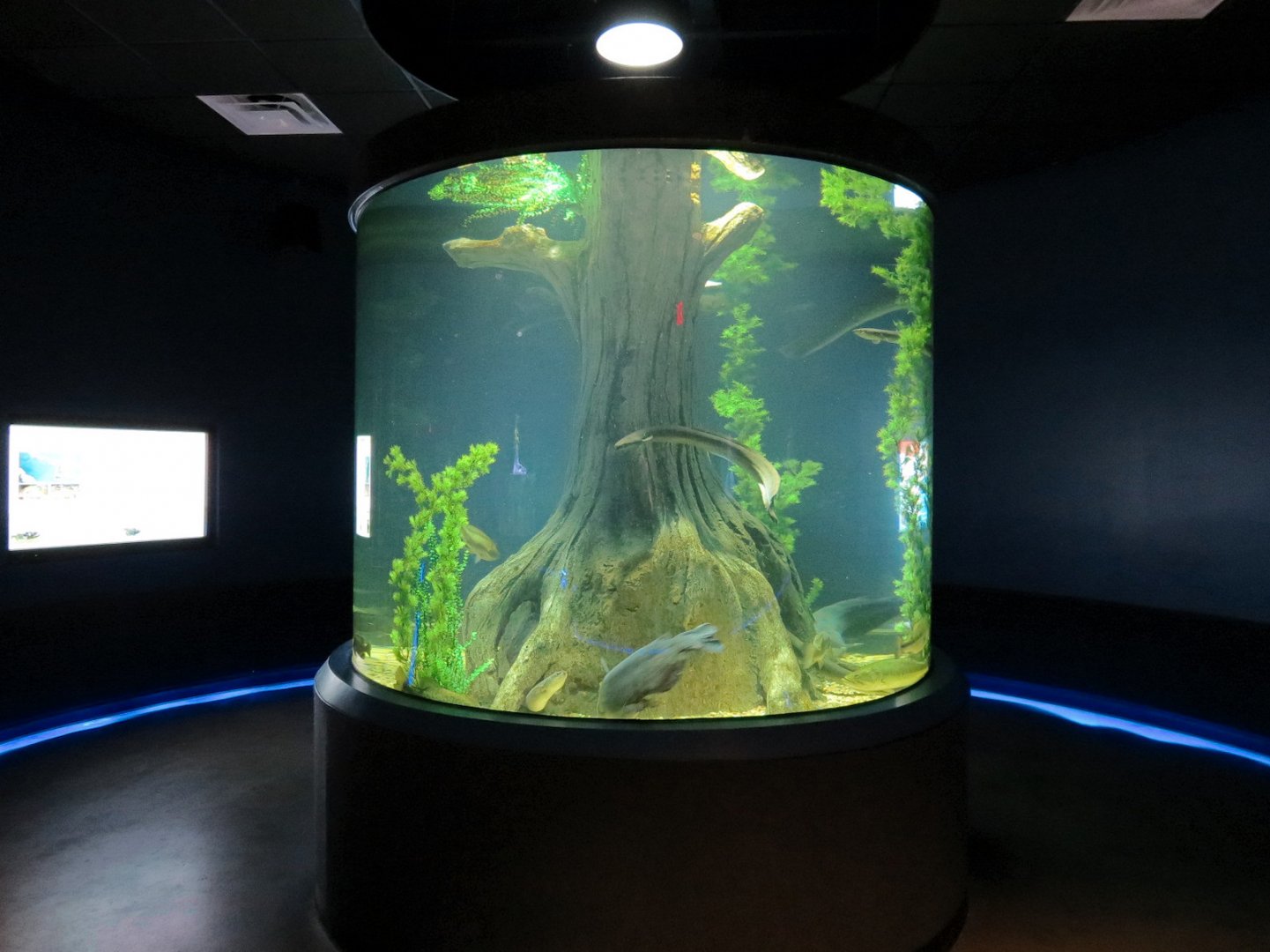 American Rivers - American Rivers Exhibit