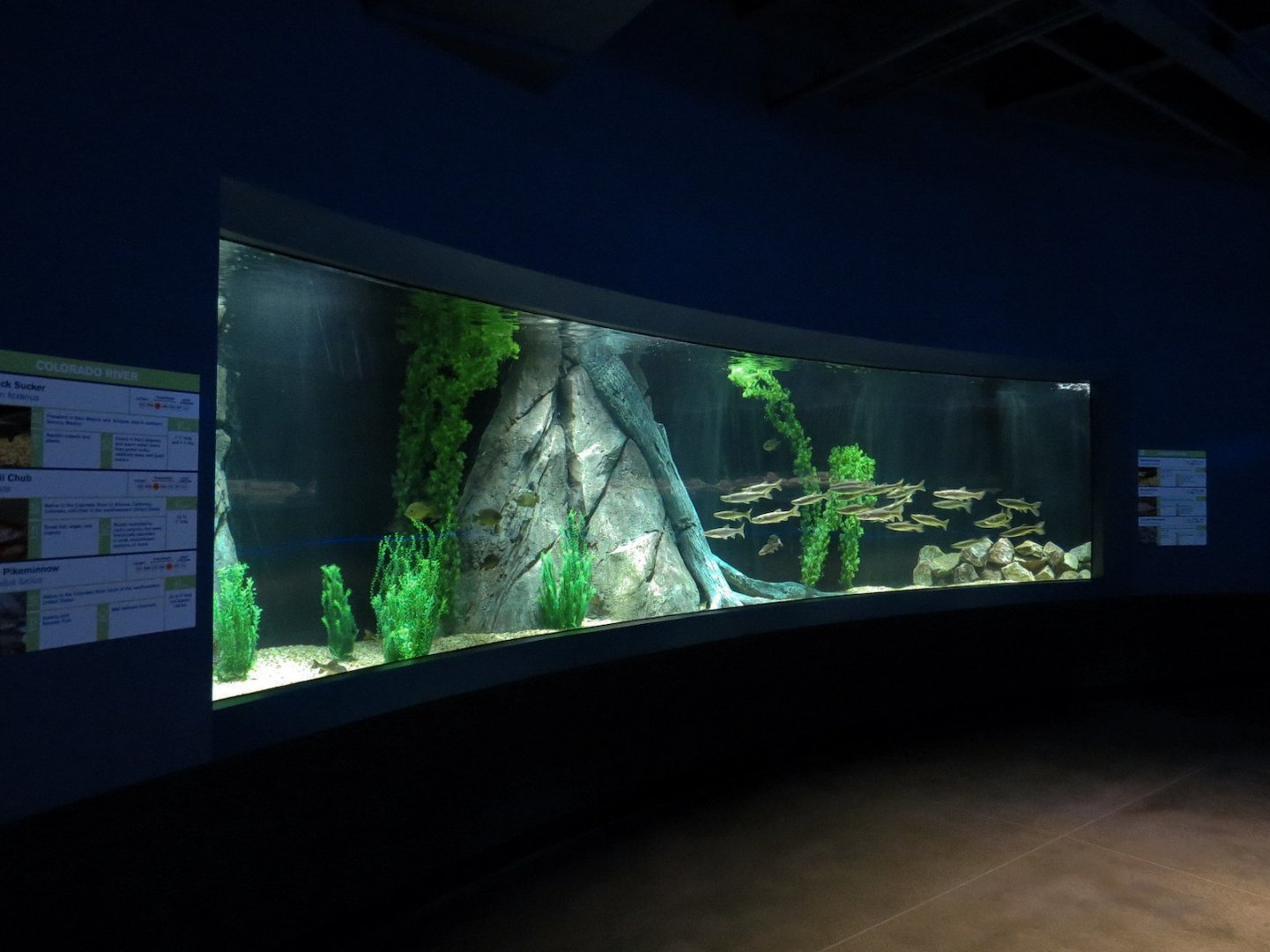 American Rivers - Colorado River Exhibit