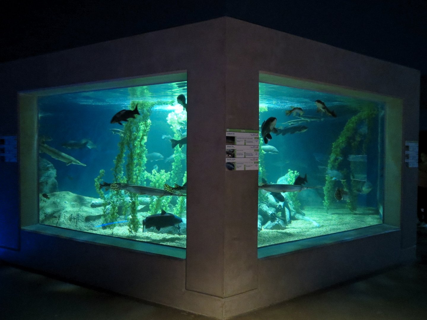 American Rivers - Gars Exhibit