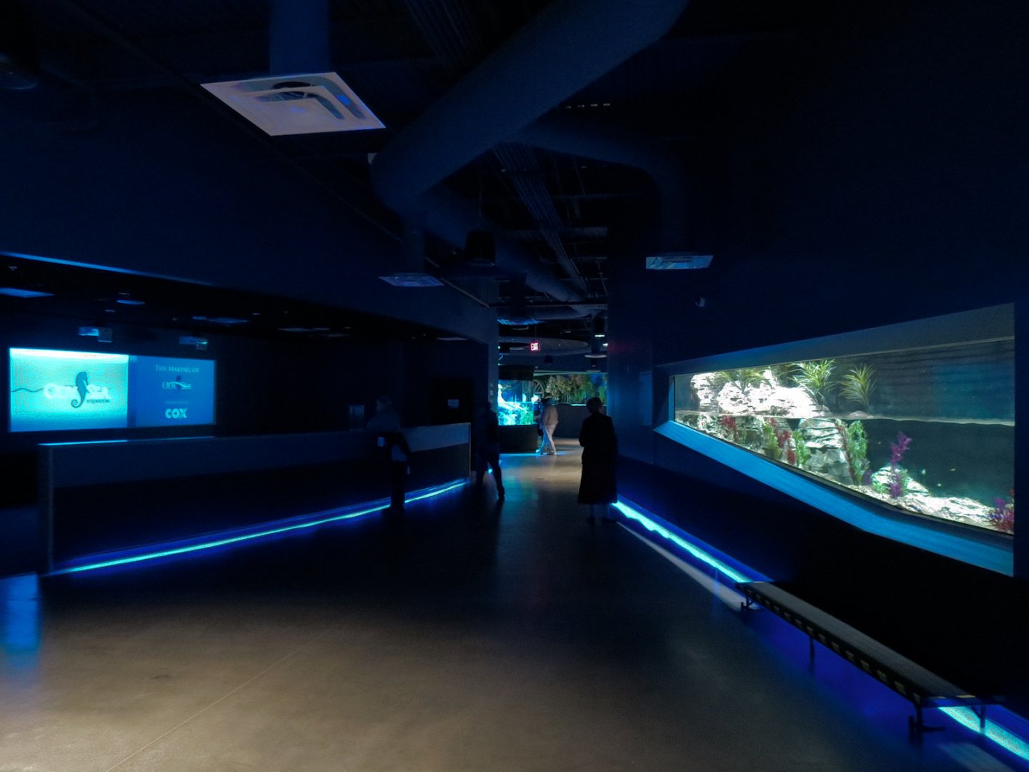 American Rivers - Hallway