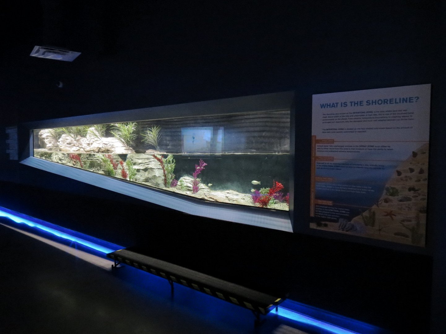 American Rivers - Shoreline Exhibit