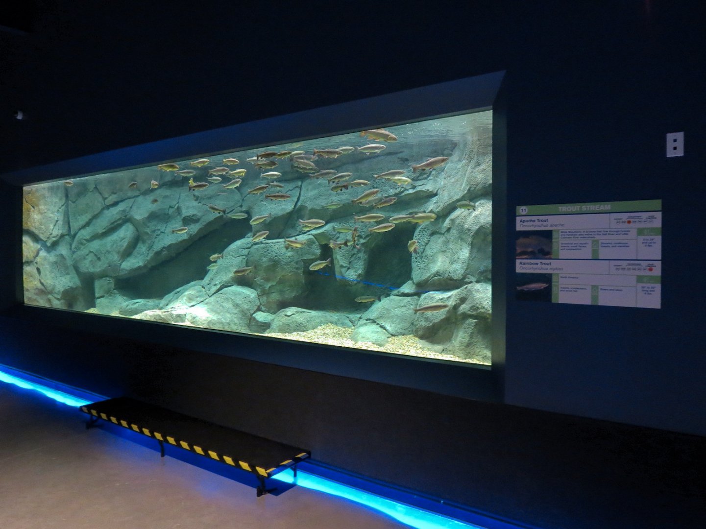 American Rivers - Trout Stream Exhibit