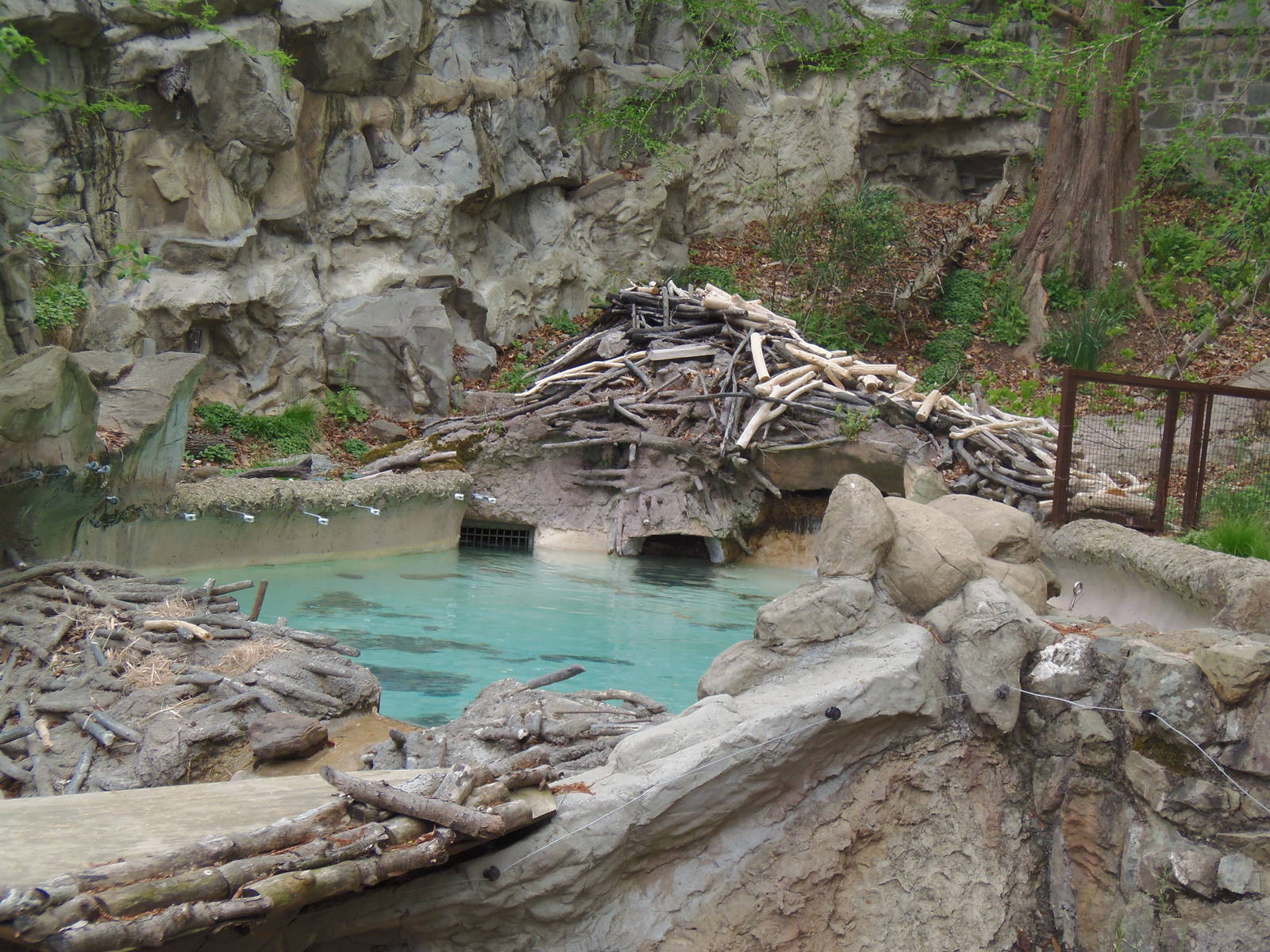 American Trail- Beaver/Merganser Exhibit