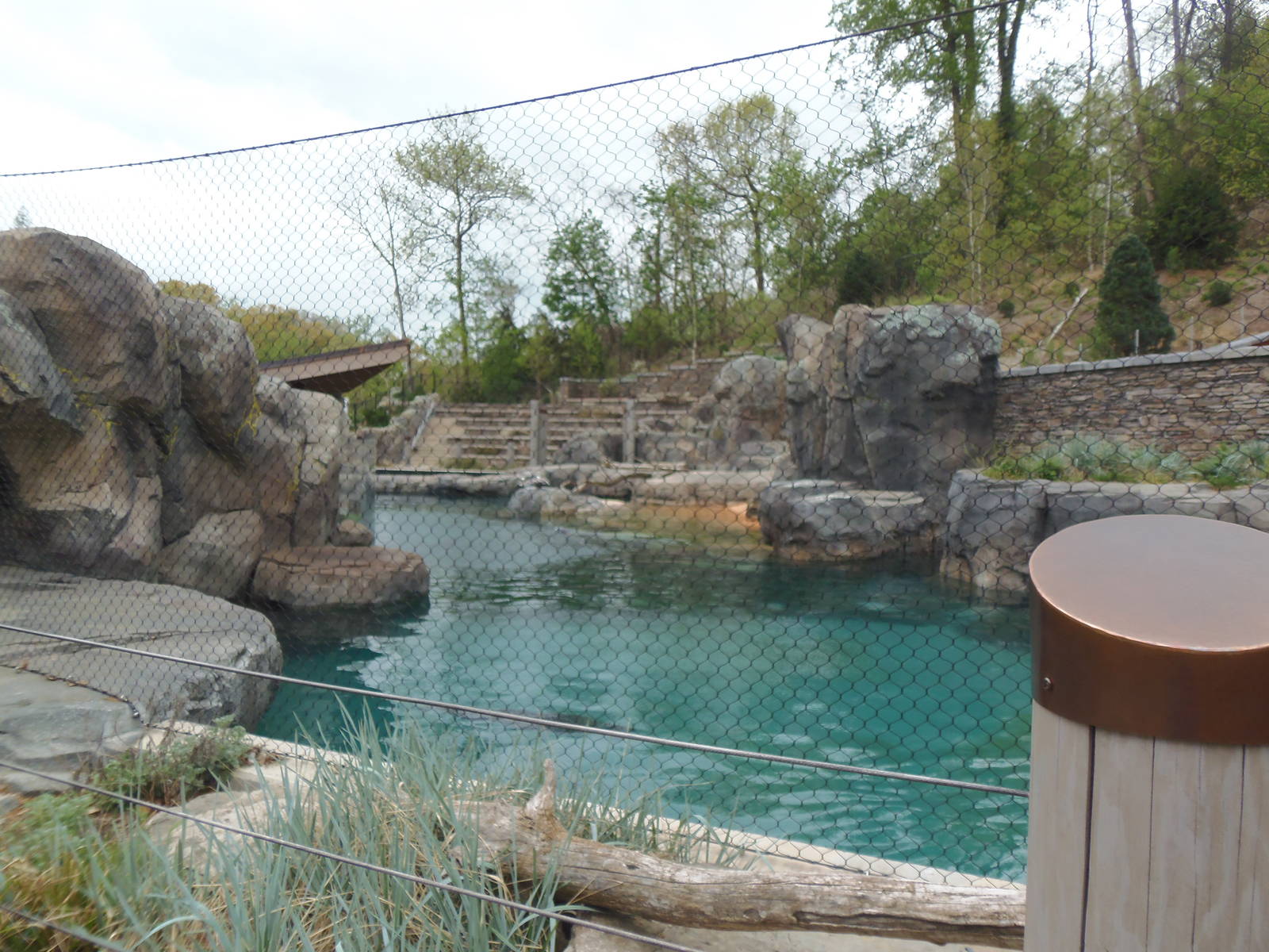 American Trail- California Sea Lion/Brown Pelican Exhibit