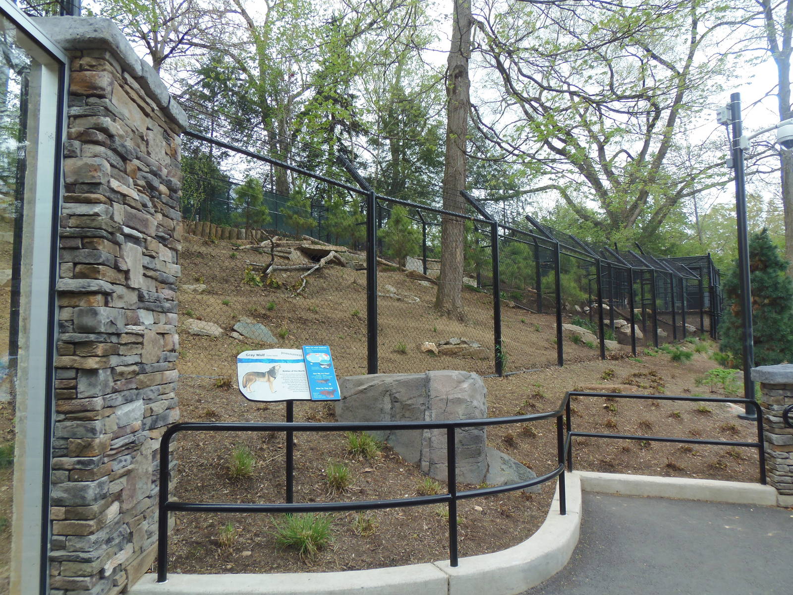 American Trail- Gray Wolf Exhibit