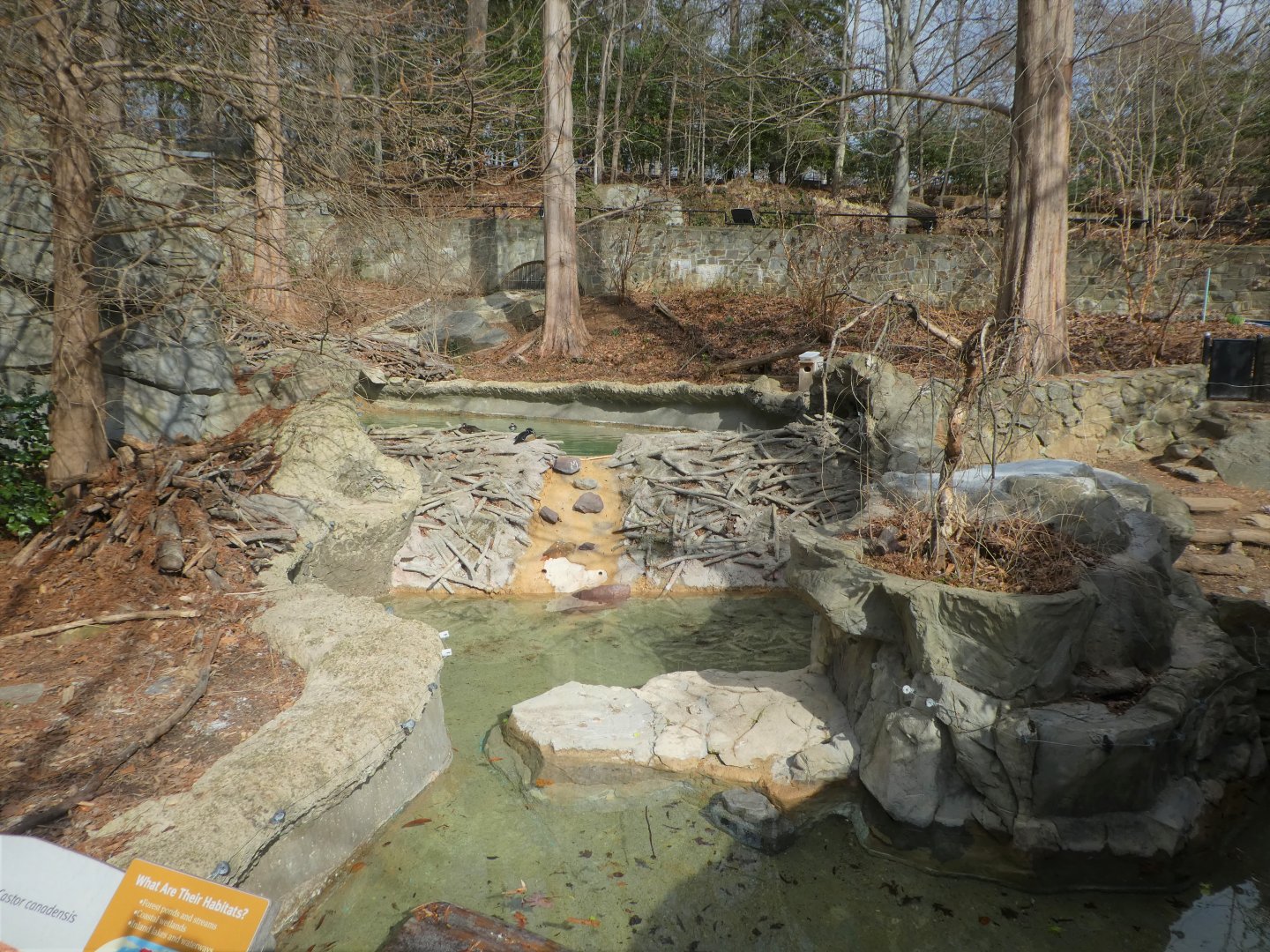 American Trail - North American Beaver, Ducks Exhibit
