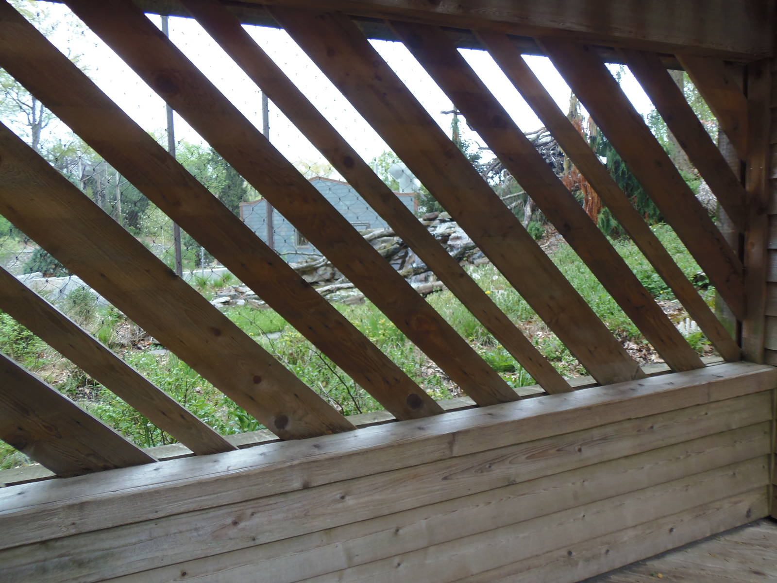 American Trail- Odd Viewing Area for Eagles