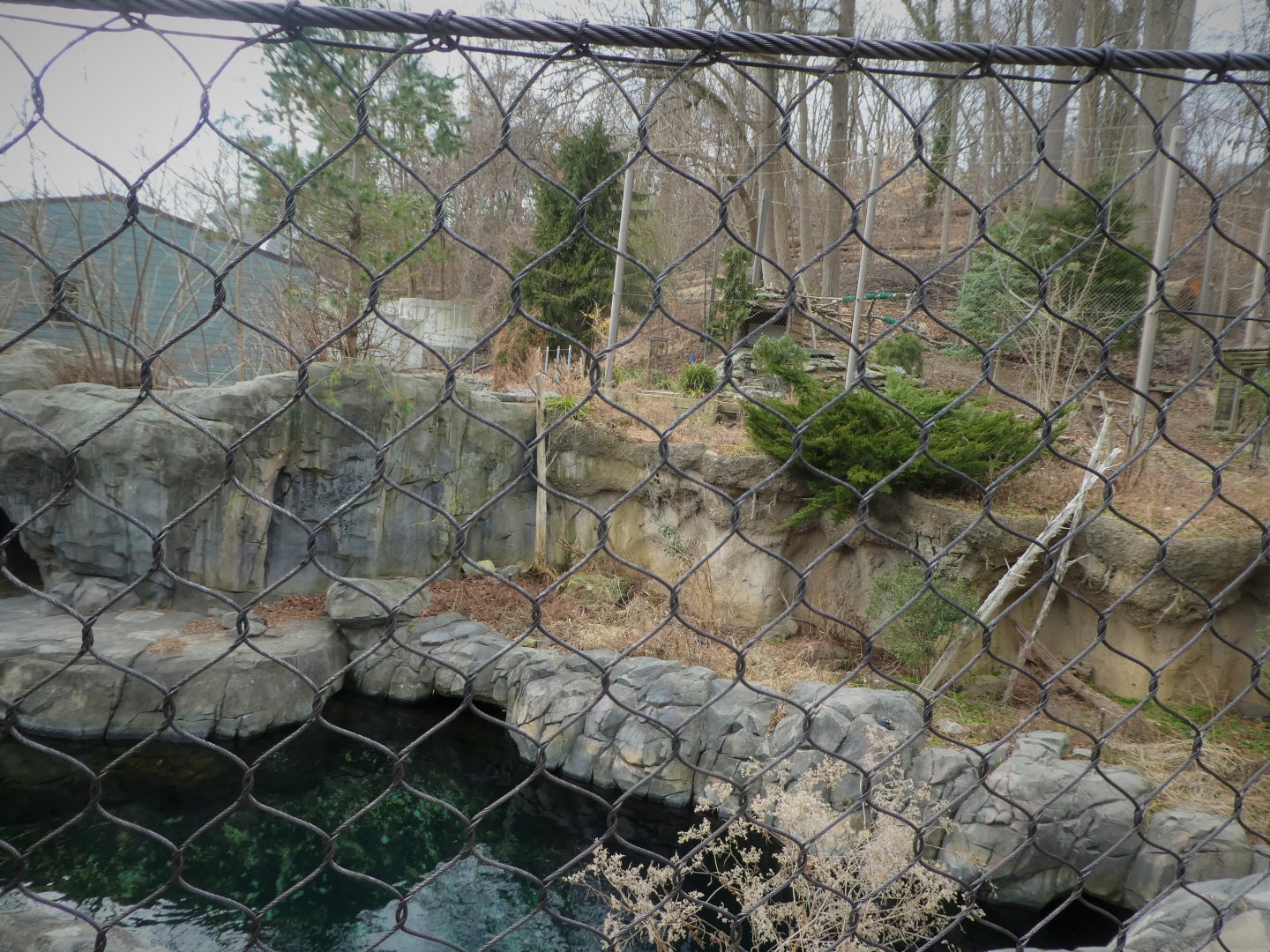 American Trail - Seal Exhibit (Foreground), Eagle Exhibit (Background)