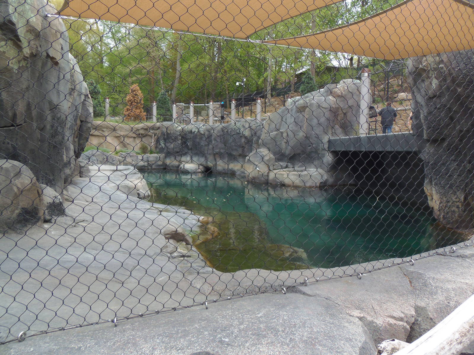 American Trail- Seal Exhibit