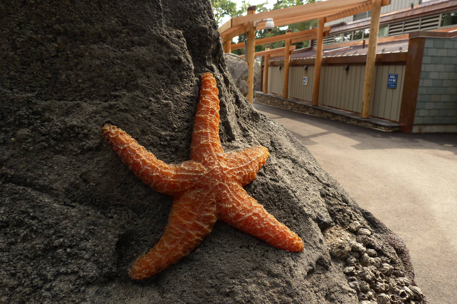 American Trails 9-6-12