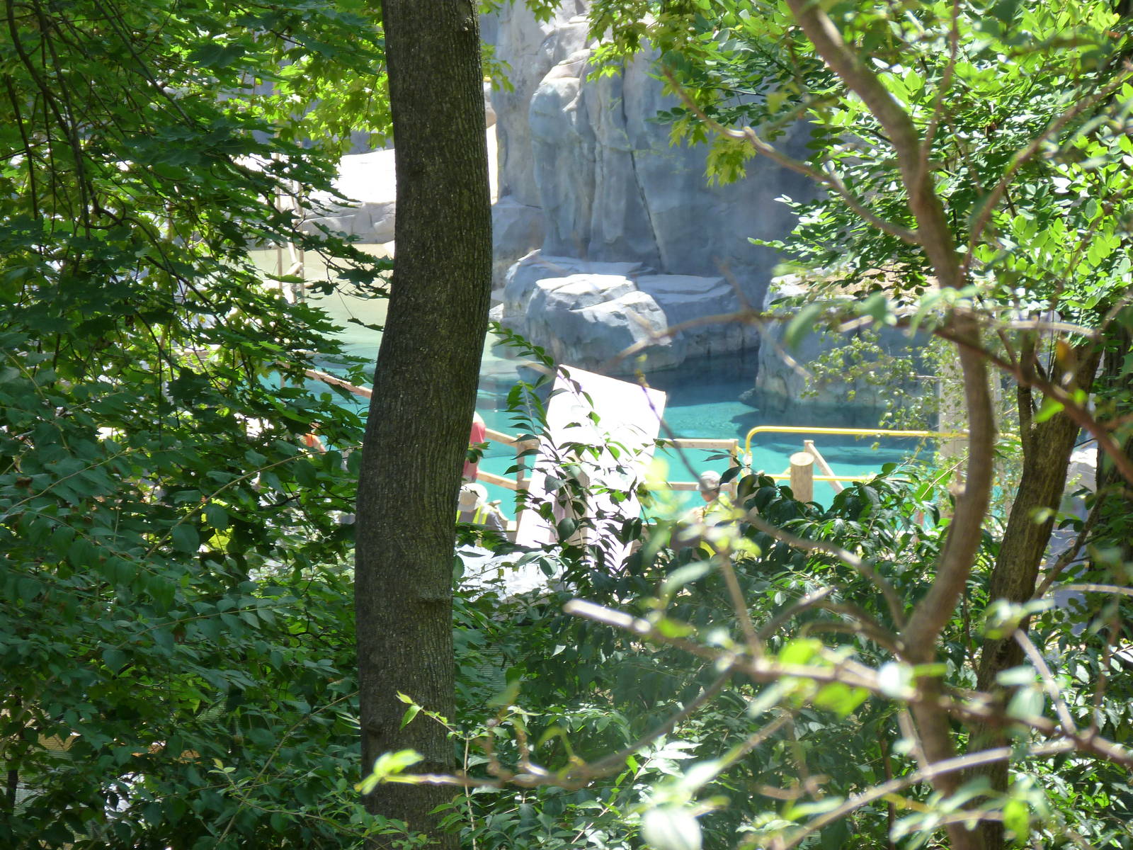 American Trails (Sea Lion Exhibit) 6-13-12