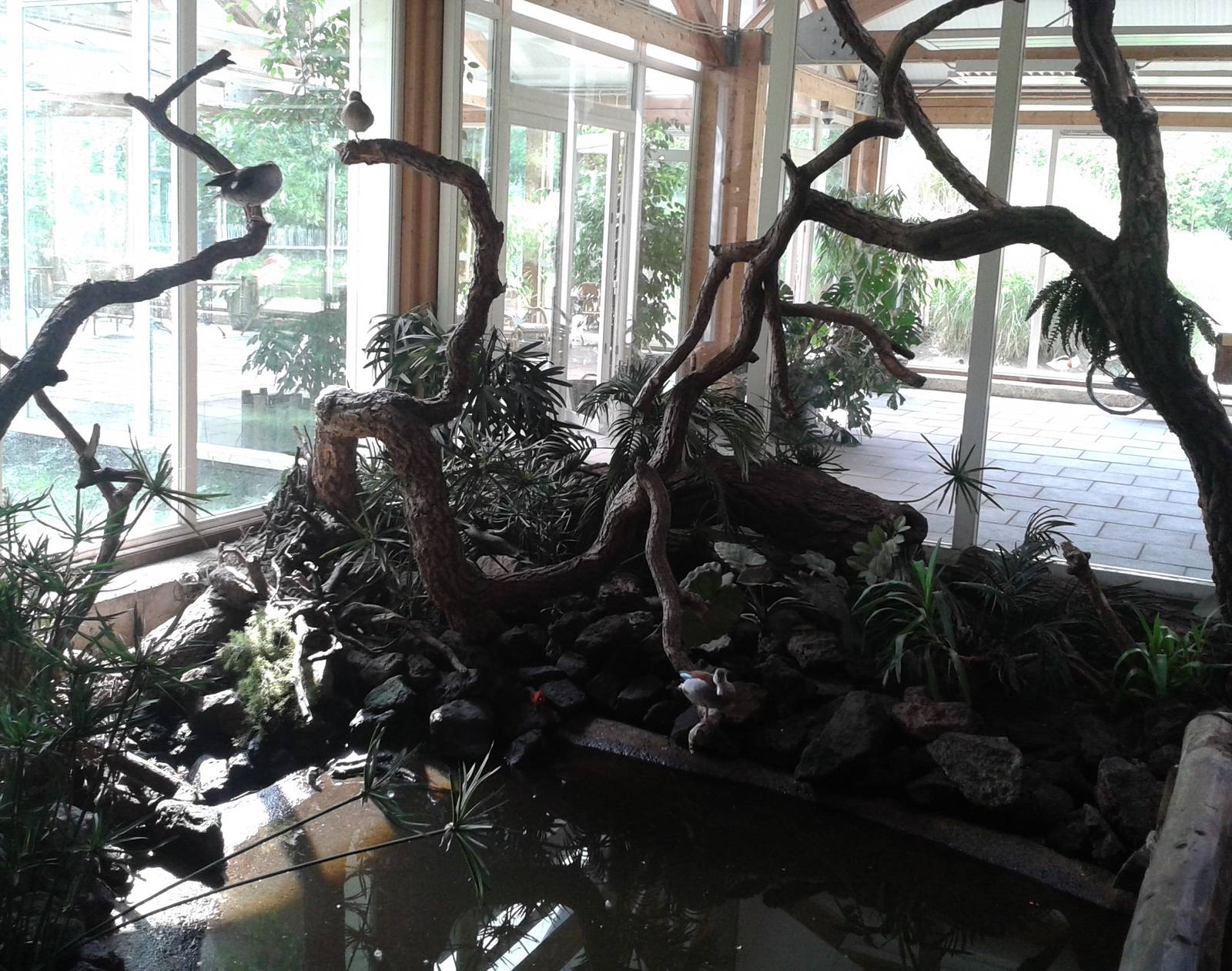 American walk-through section