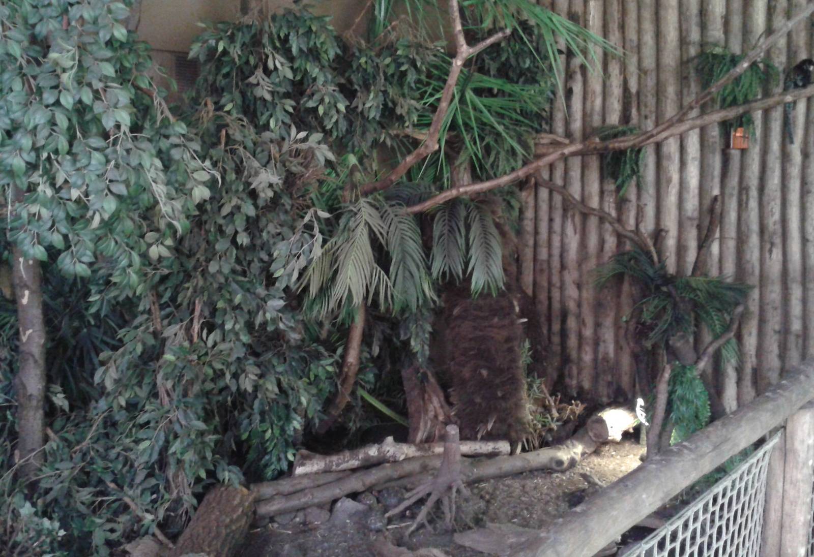 American walk-through section