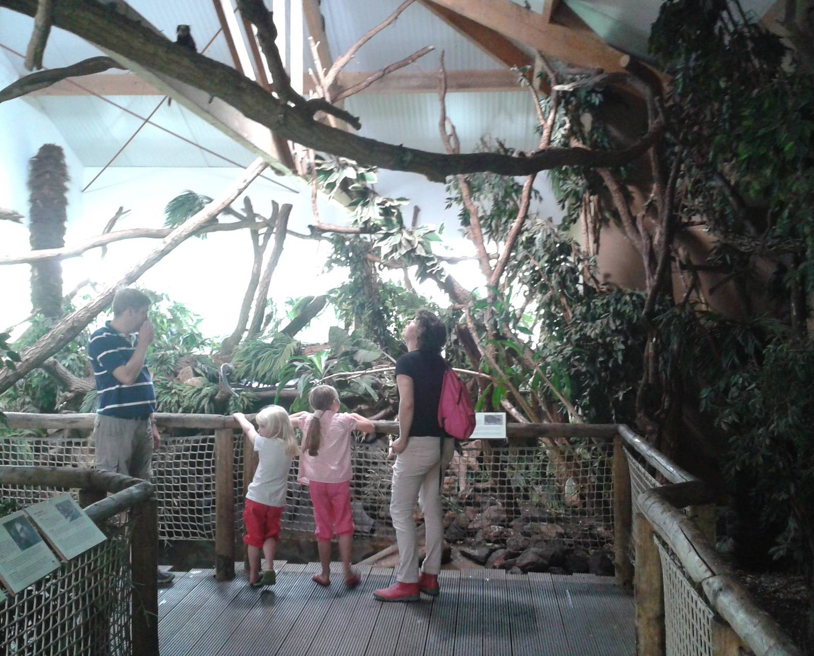 American walk-through section