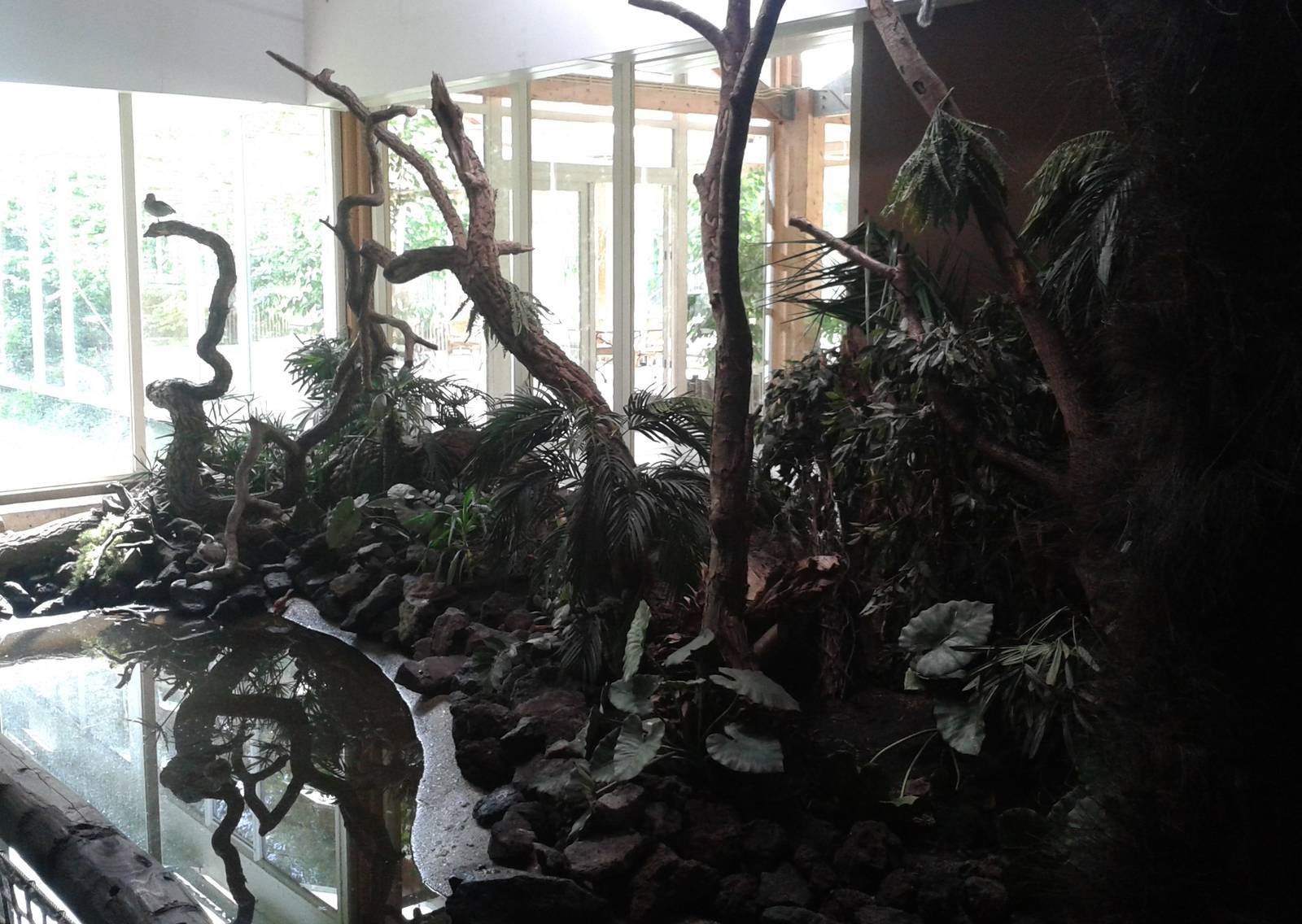 American walk-through section