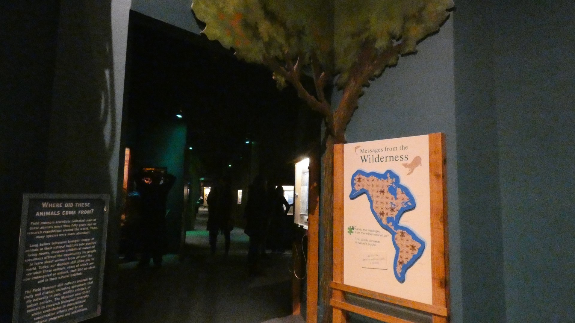 American Wilderness Gallery - Feb. 2022