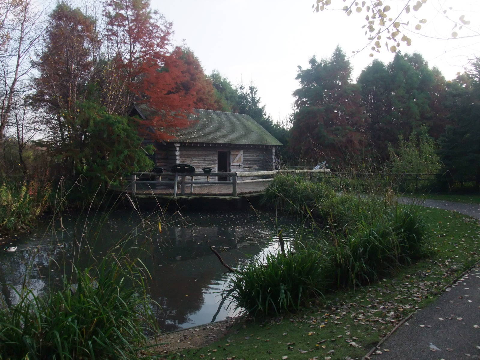 American Woodlands Waterfowl Pen at London WWT (Barnes), 15/11/11