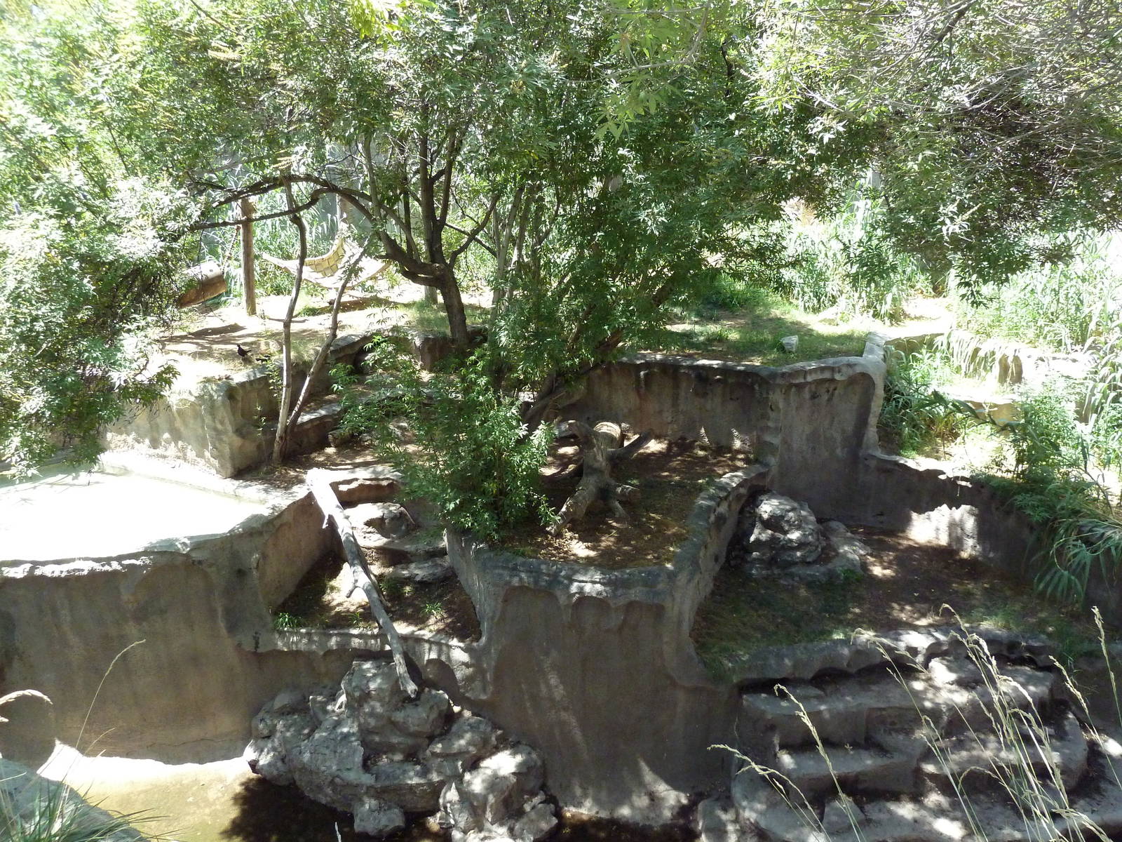 Americas - Andean Bear Exhibit
