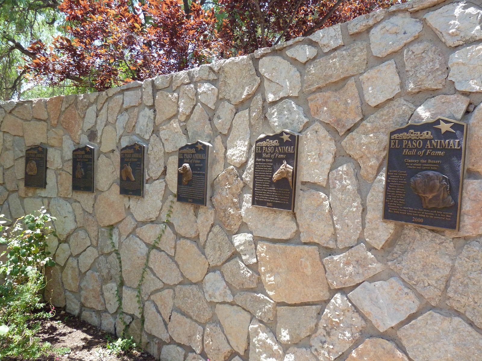 Americas - Animal Hall Of Fame Garden