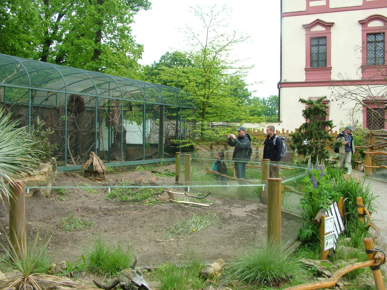 Americas area at Ohrada, 26/05/10