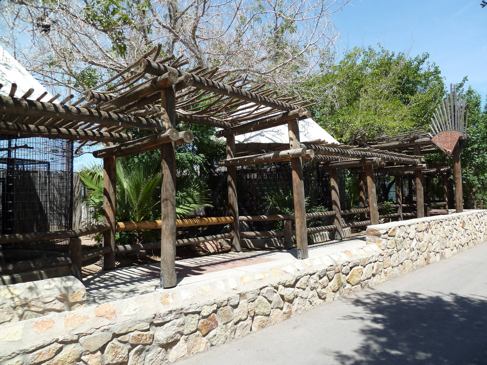 Americas - Bird Of Prey Exhibits