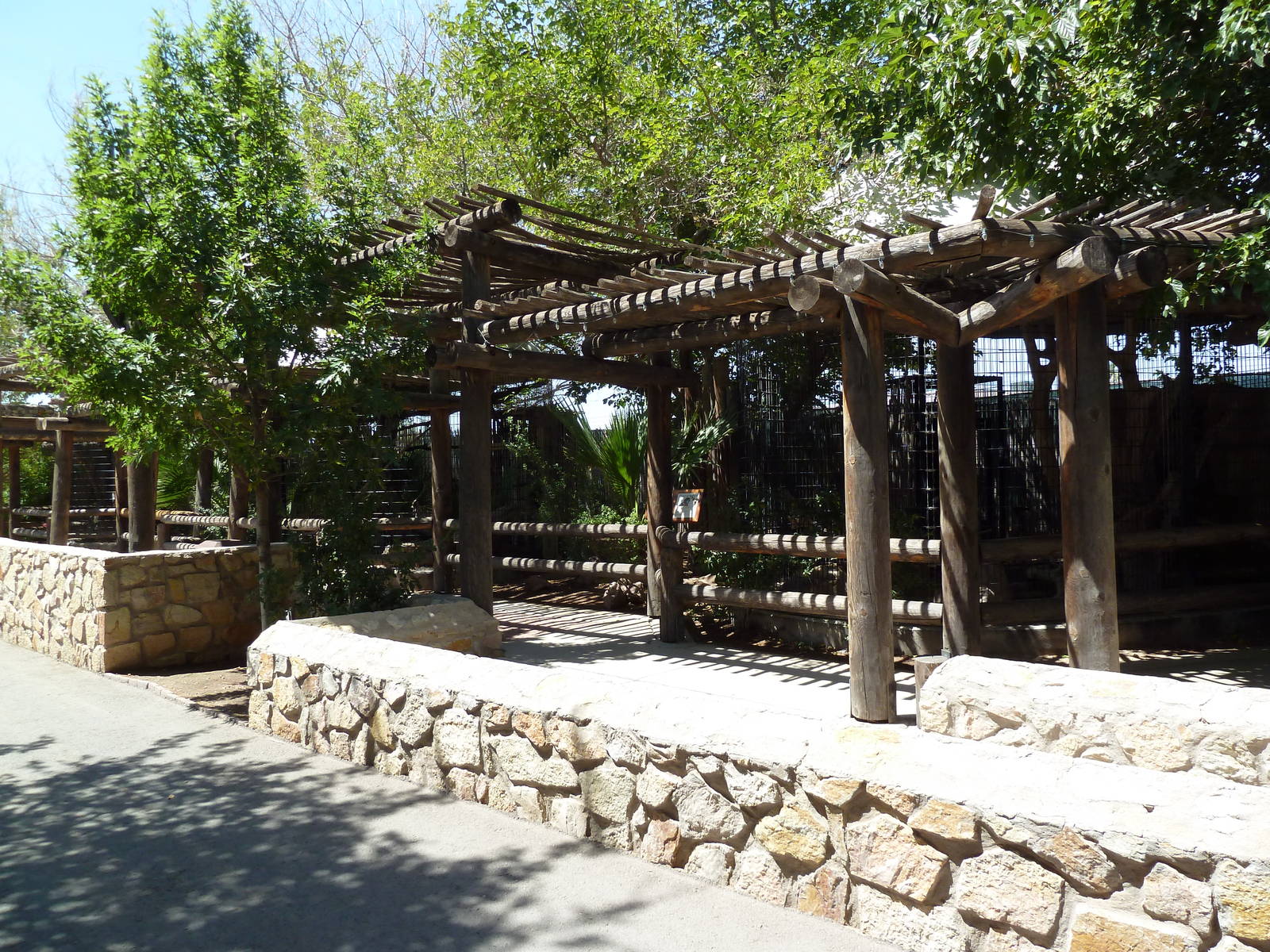 Americas - Bird Of Prey Exhibits