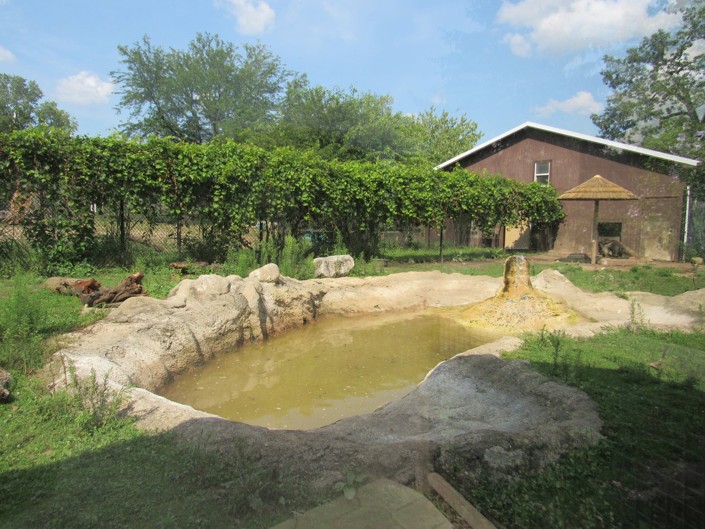 Americas - Giant Anteater, Capybara Exhibit