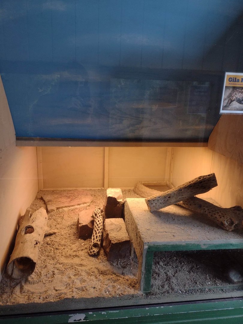 Americas- Gila Monster