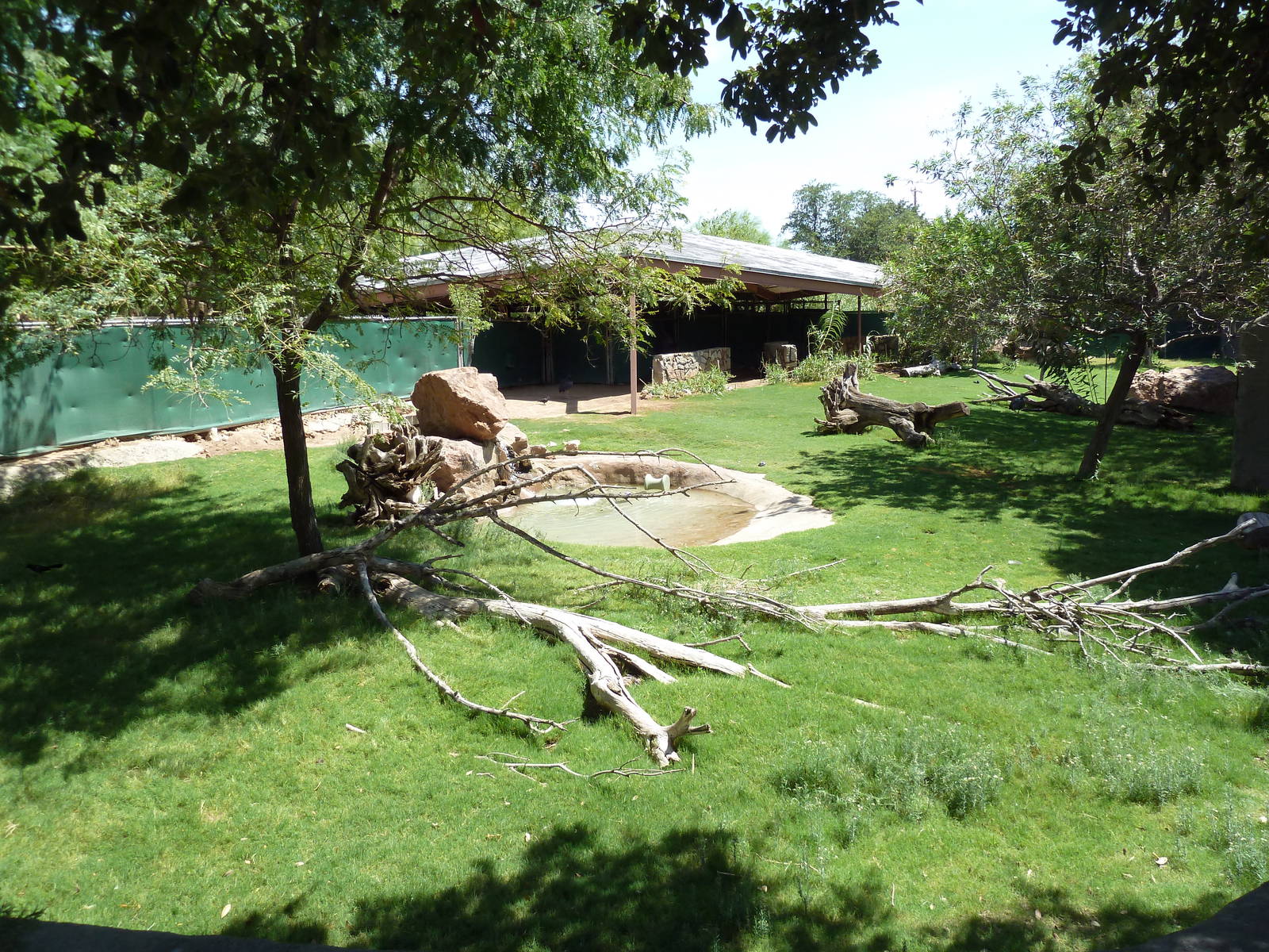 Americas - Guanaco/Rhea Exhibit