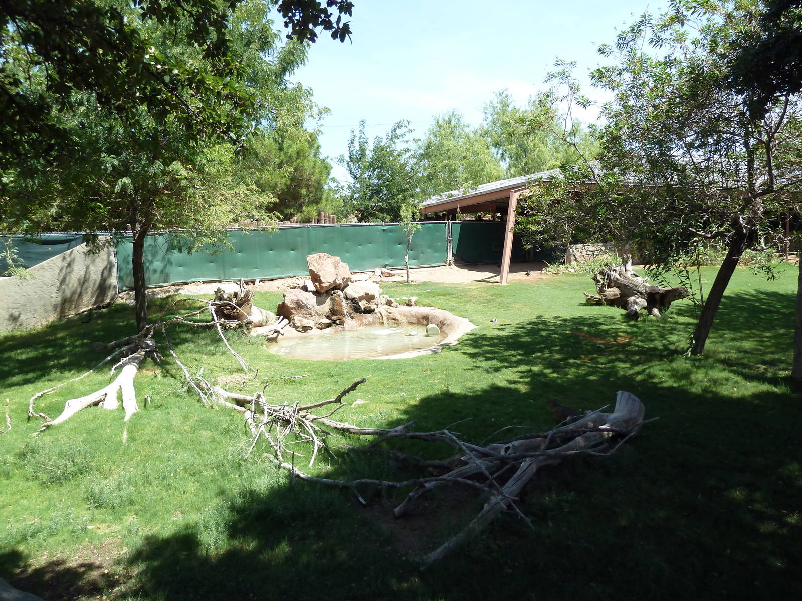 Americas - Guanaco/Rhea Exhibit
