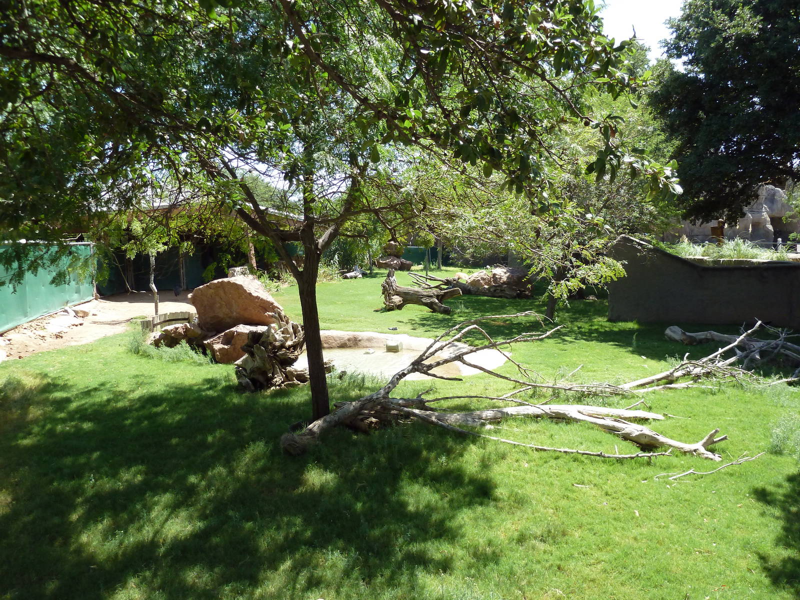 Americas - Guanaco/Rhea Exhibit