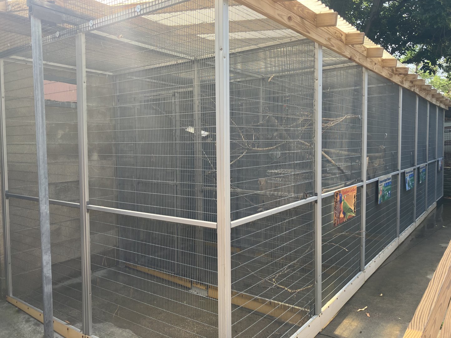 Americas - Parrot Row