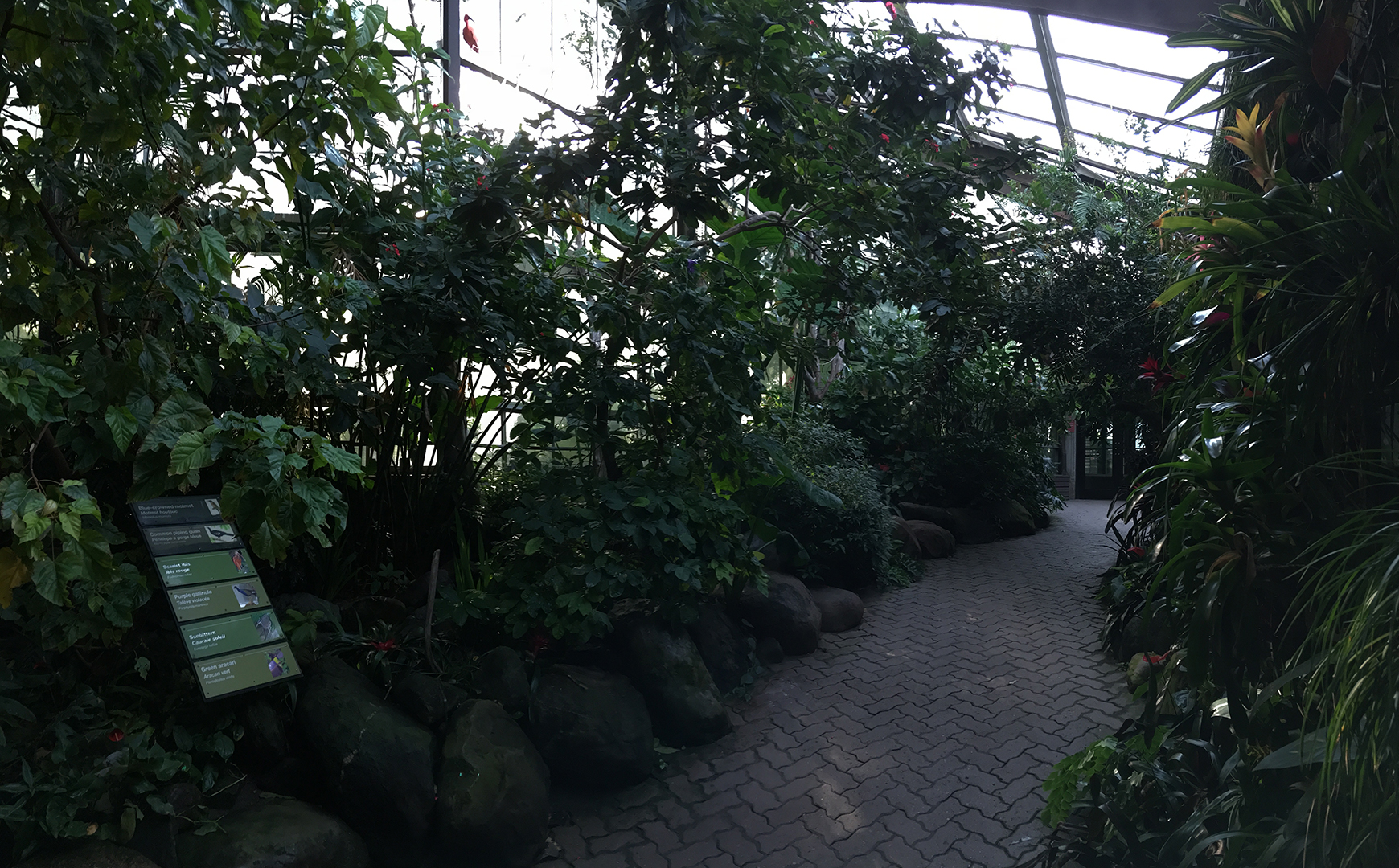 Americas Pavilion Aviary View 1