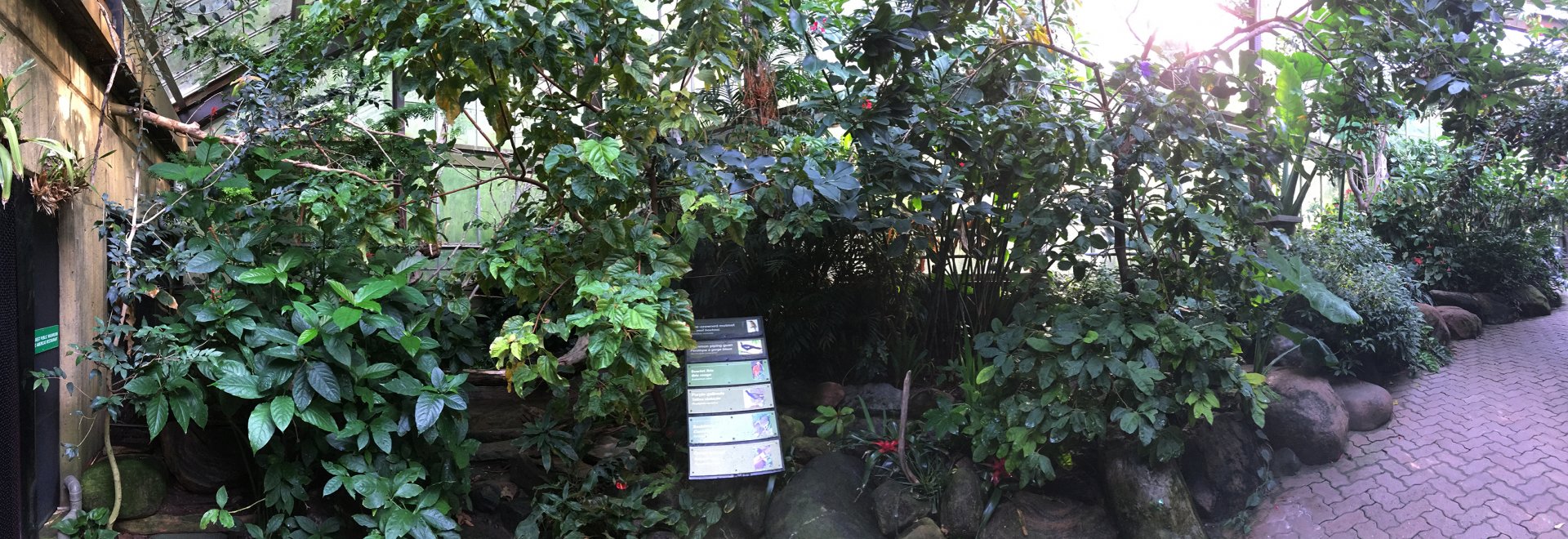 Americas Pavilion Aviary View 2