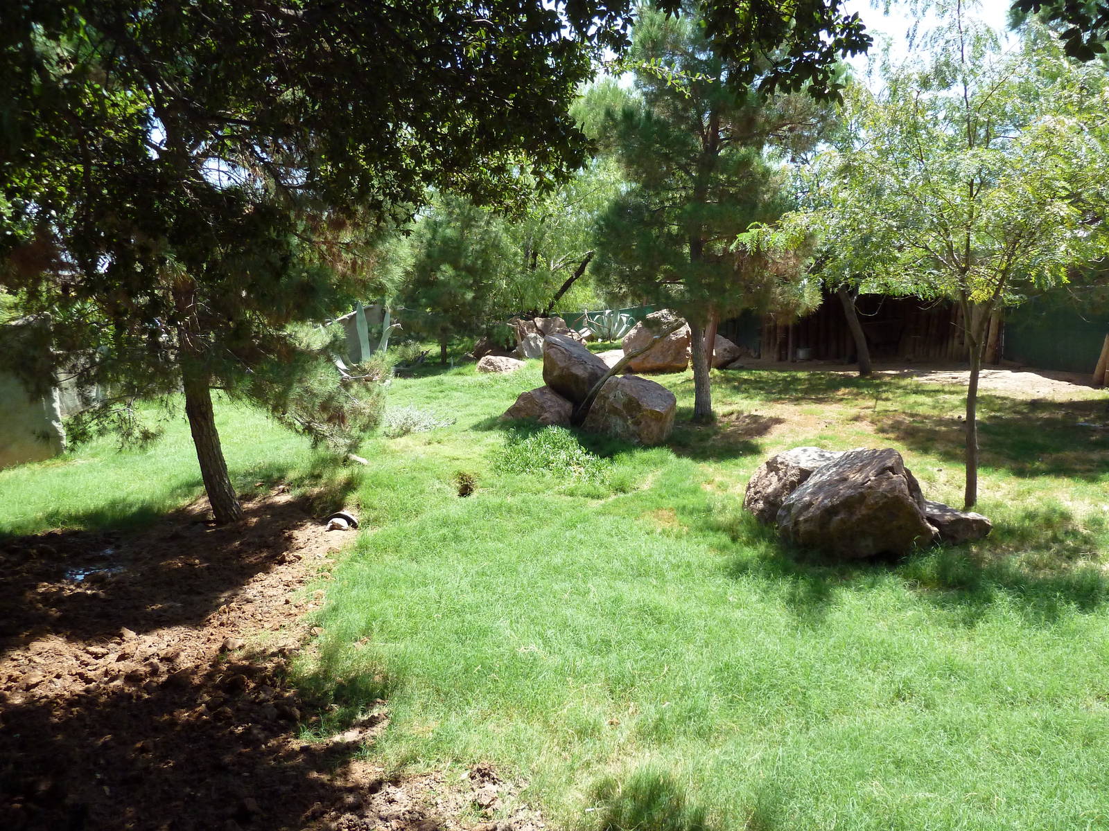 Americas - Peccary/Wild Turkey/Bolson Tortoise Exhibit
