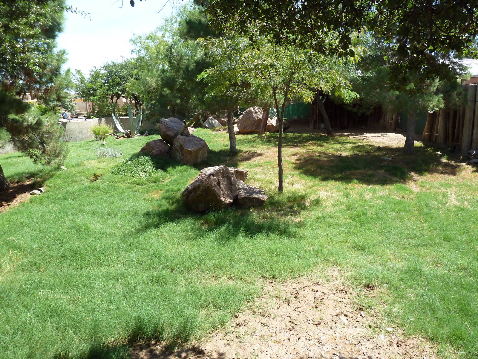 Americas - Peccary/Wild Turkey/Bolson Tortoise Exhibit