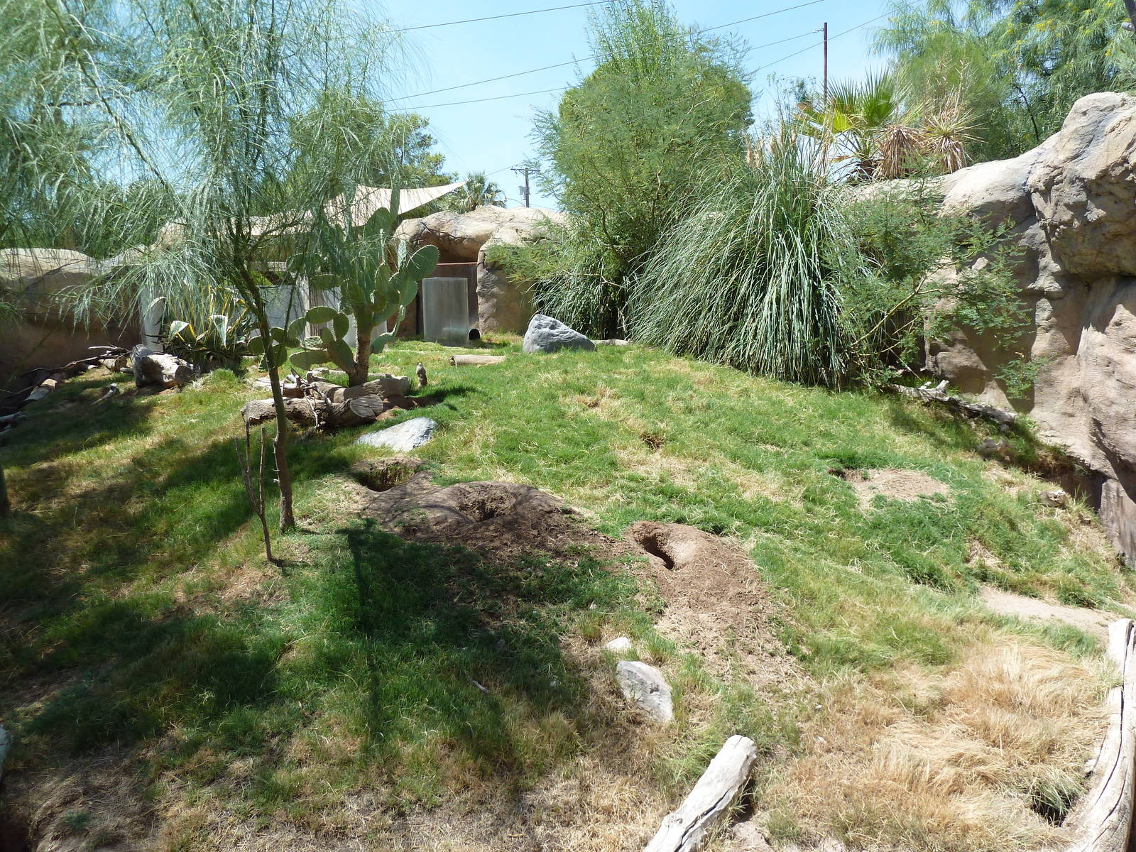 Americas - Prairie Dog Exhibit